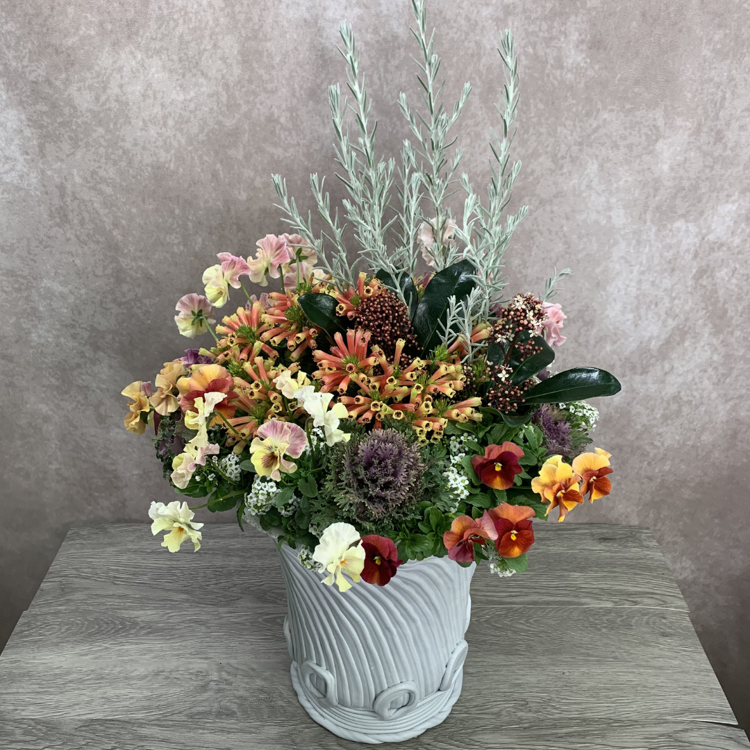 綱木紋鉢 丸鉢Lサイズスリム(LS) エリカシャイニングスプライト エレモフィラニベア スキミアルベラ ビオラルージュのシンフォニー パンジーシエルブリエ 葉牡丹萌花コレクション スイートアリッサムを使ったかわいくて元気がもらえるお正月寄せ植えギャザリング作品例 はなそうにん オゼジュン先生のプランツギャザリング 寄せ植え用植木鉢