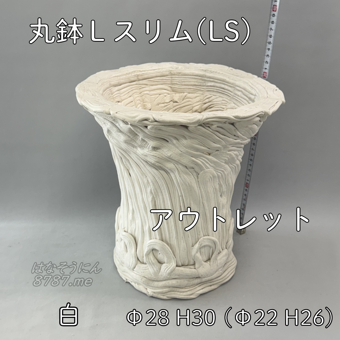 綱木紋鉢 丸鉢Lサイズスリム(LS) アウトレット白中古 正面メイン はなそうにん オゼジュン先生のプランツギャザリング 寄せ植え用植木鉢