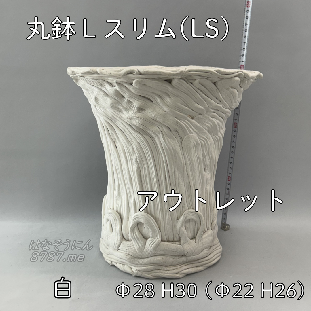 綱木紋鉢 丸鉢Lサイズスリム(LS) アウトレット白中古 横から はなそうにん オゼジュン先生のプランツギャザリング 寄せ植え用植木鉢
