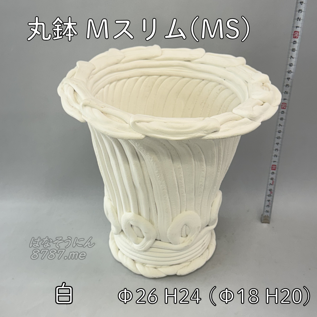 綱木紋鉢 丸鉢Mサイズスリム(MS) 白 正面メイン はなそうにん オゼジュン先生のプランツギャザリング 寄せ植え用植木鉢