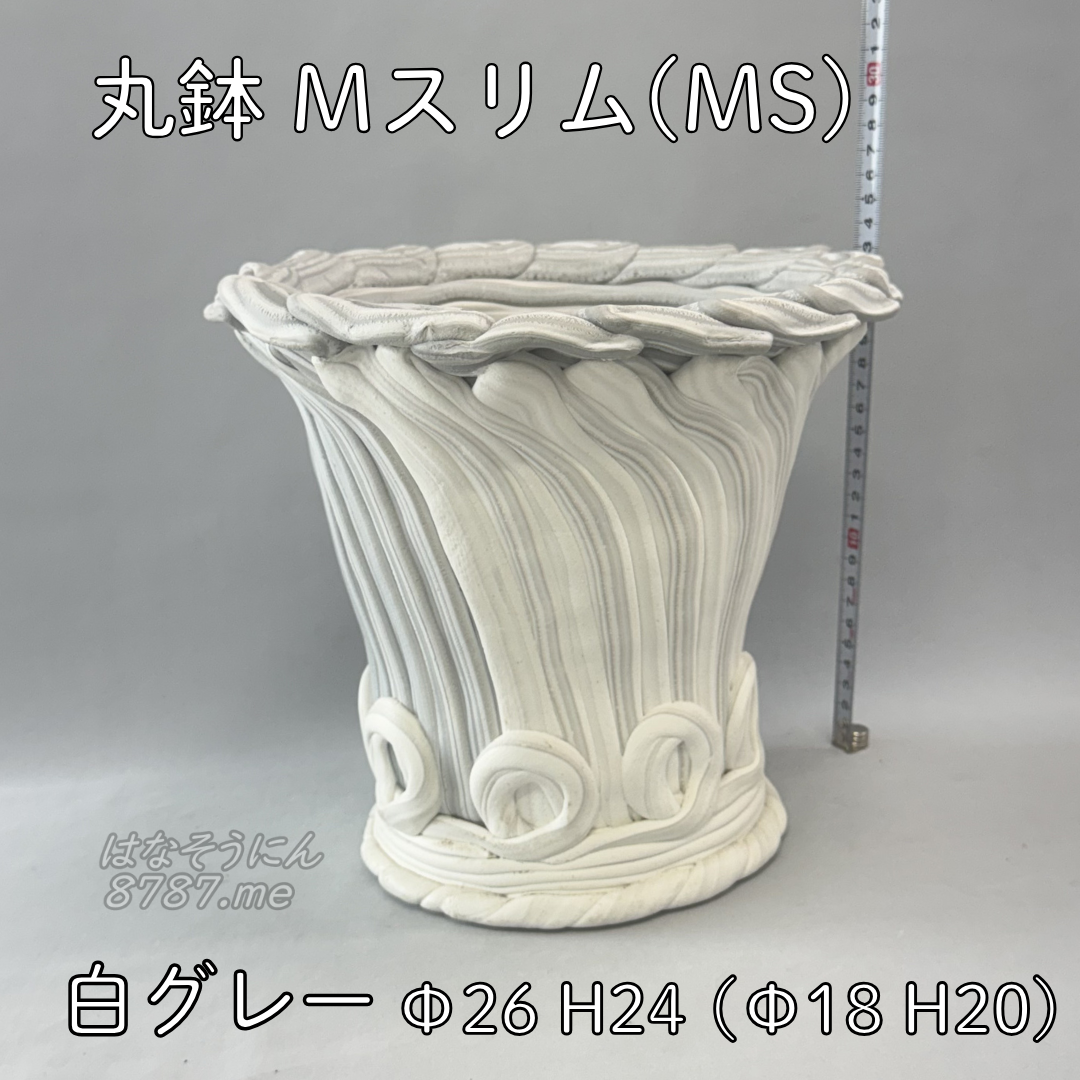 綱木紋鉢 丸鉢Mサイズスリム(MS) 白グレー 横から はなそうにん オゼジュン先生のプランツギャザリング 寄せ植え用植木鉢