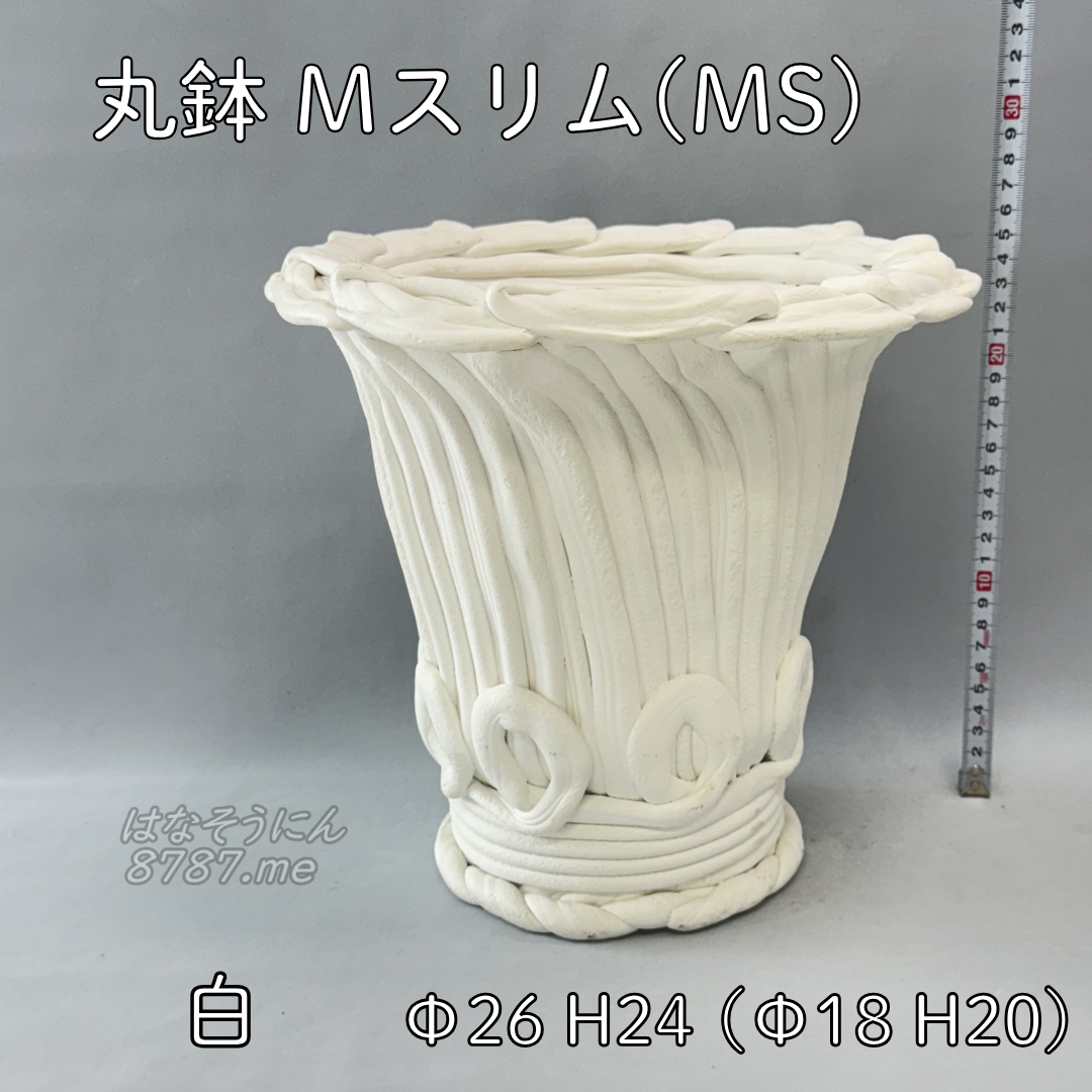 綱木紋鉢 丸鉢Mサイズスリム(MS) 白 横から はなそうにん オゼジュン先生のプランツギャザリング 寄せ植え用植木鉢