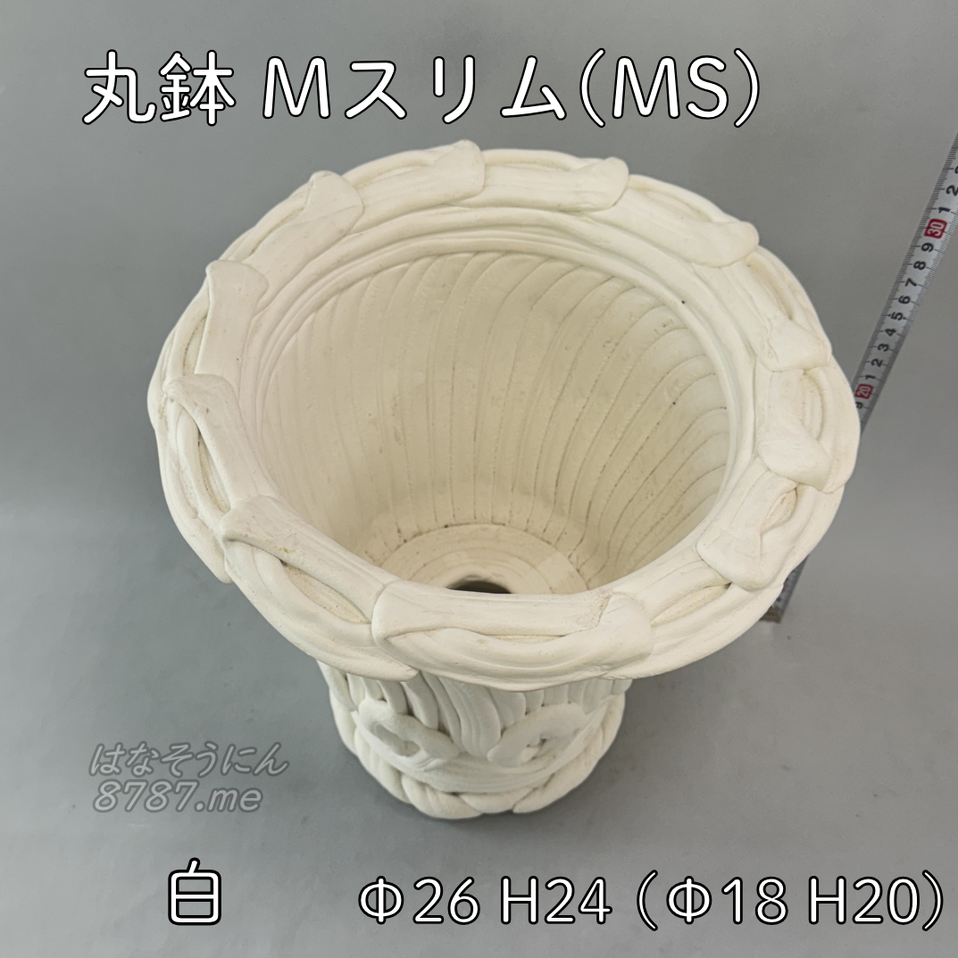 綱木紋鉢 丸鉢Mサイズスリム(MS) 白 上から見た鉢内部 はなそうにん オゼジュン先生のプランツギャザリング 寄せ植え用植木鉢