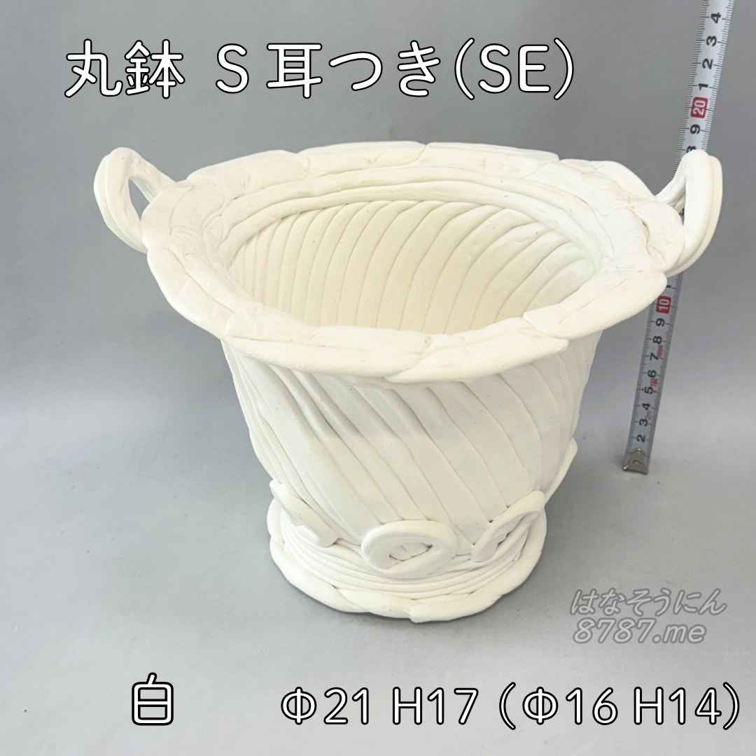 綱木紋鉢 丸鉢S耳付き(SE) 白 正面メイン はなそうにん オゼジュン先生のプランツギャザリング 寄せ植え用植木鉢