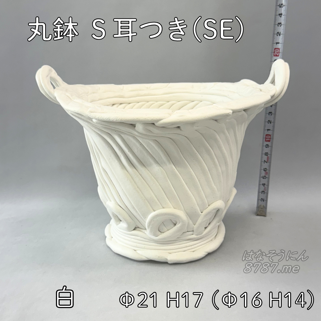 綱木紋鉢 丸鉢S耳付き(SE) 白 横から はなそうにん オゼジュン先生のプランツギャザリング 寄せ植え用植木鉢