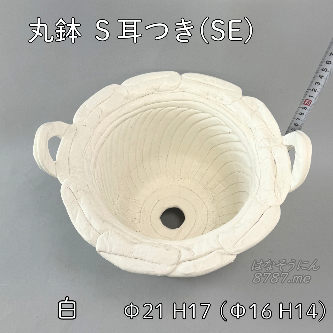 綱木紋鉢 丸鉢S耳付き(SE) 白 上から見た鉢内部 はなそうにん オゼジュン先生のプランツギャザリング 寄せ植え用植木鉢