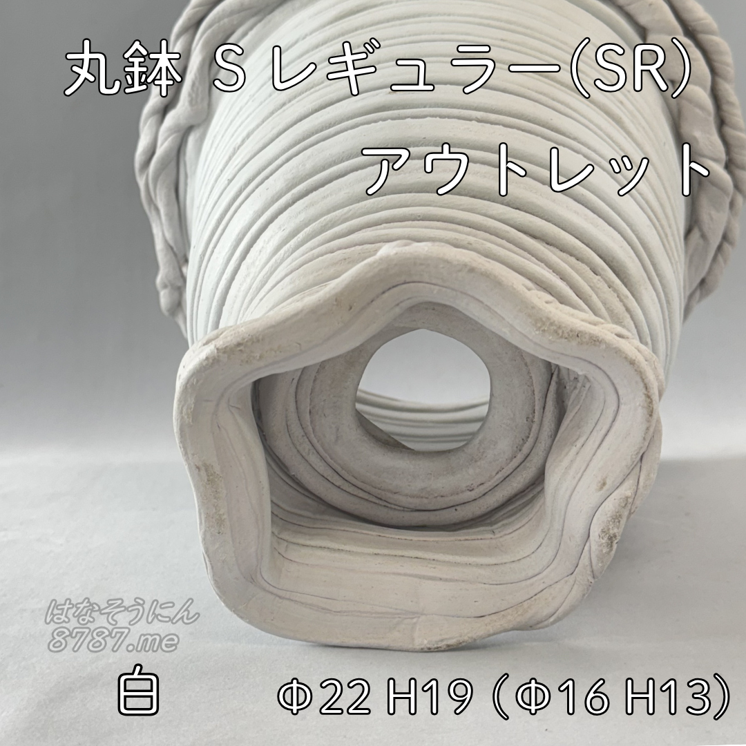 綱木紋鉢 丸鉢Sレギュラー(SR) アウトレット中古品 下から はなそうにん オゼジュン先生のプランツギャザリング 寄せ植え用植木鉢