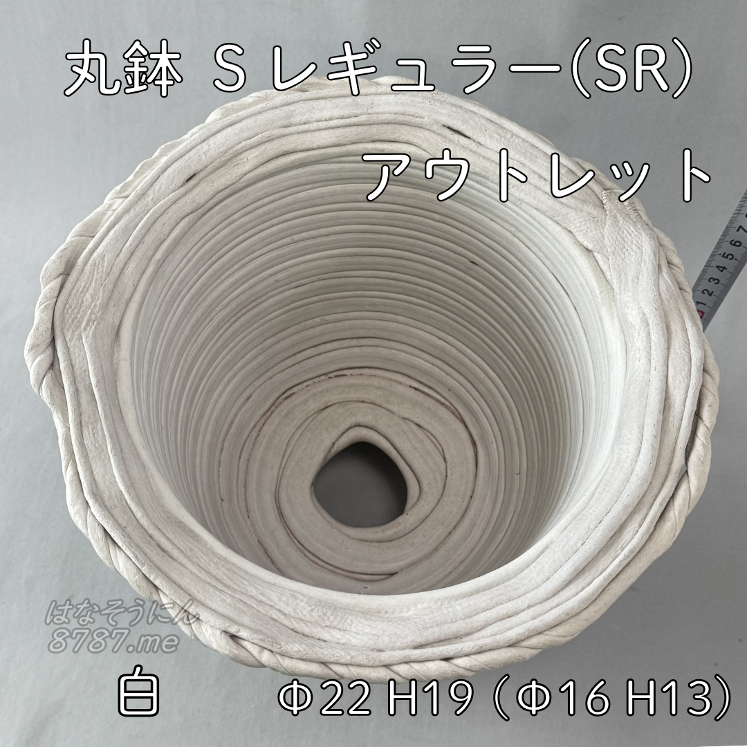 綱木紋鉢 丸鉢Sレギュラー(SR) アウトレット中古品 上から見た鉢内部 はなそうにん オゼジュン先生のプランツギャザリング 寄せ植え用植木鉢