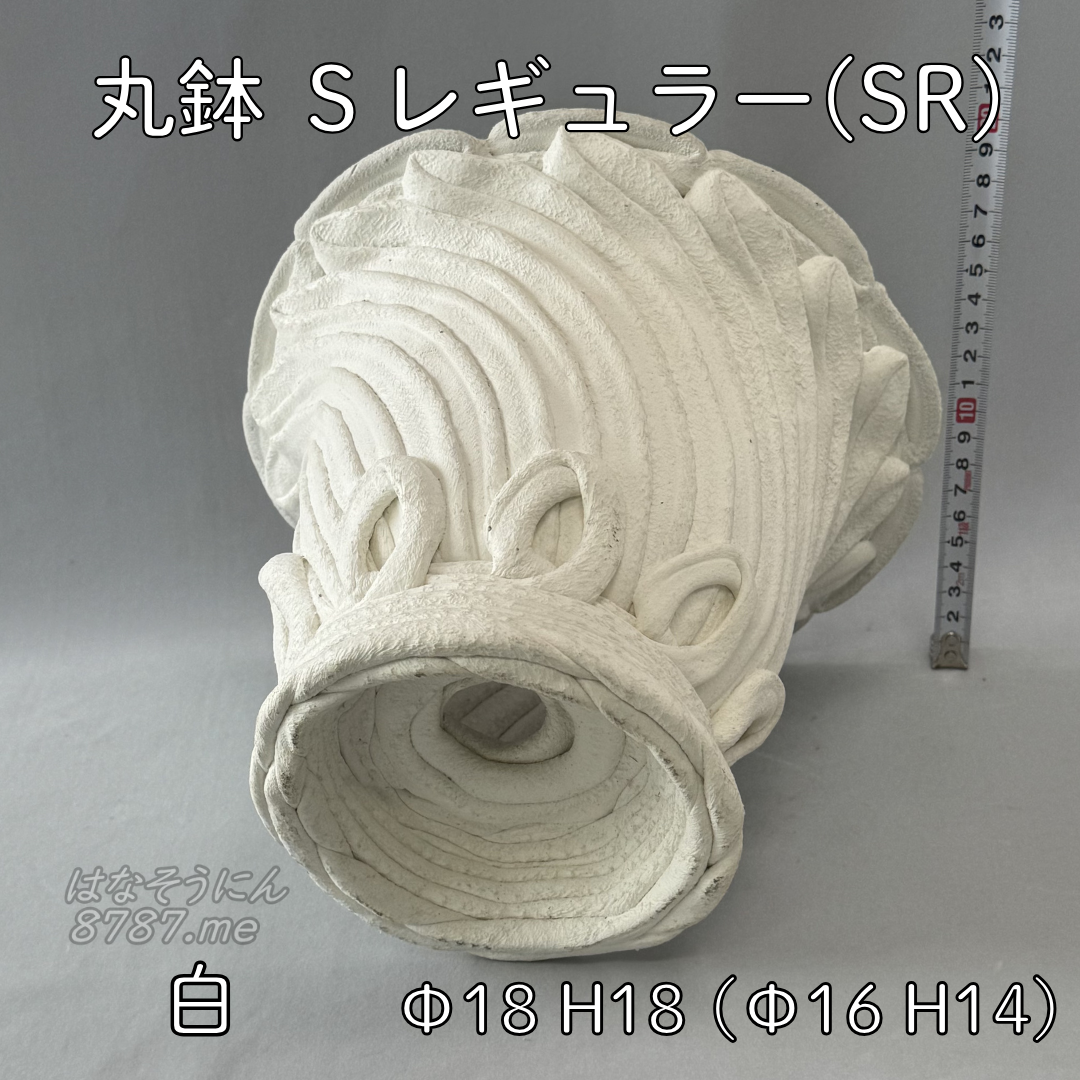 綱木紋鉢 丸鉢Sレギュラー(SR) 白 下から はなそうにん オゼジュン先生のプランツギャザリング 寄せ植え用植木鉢