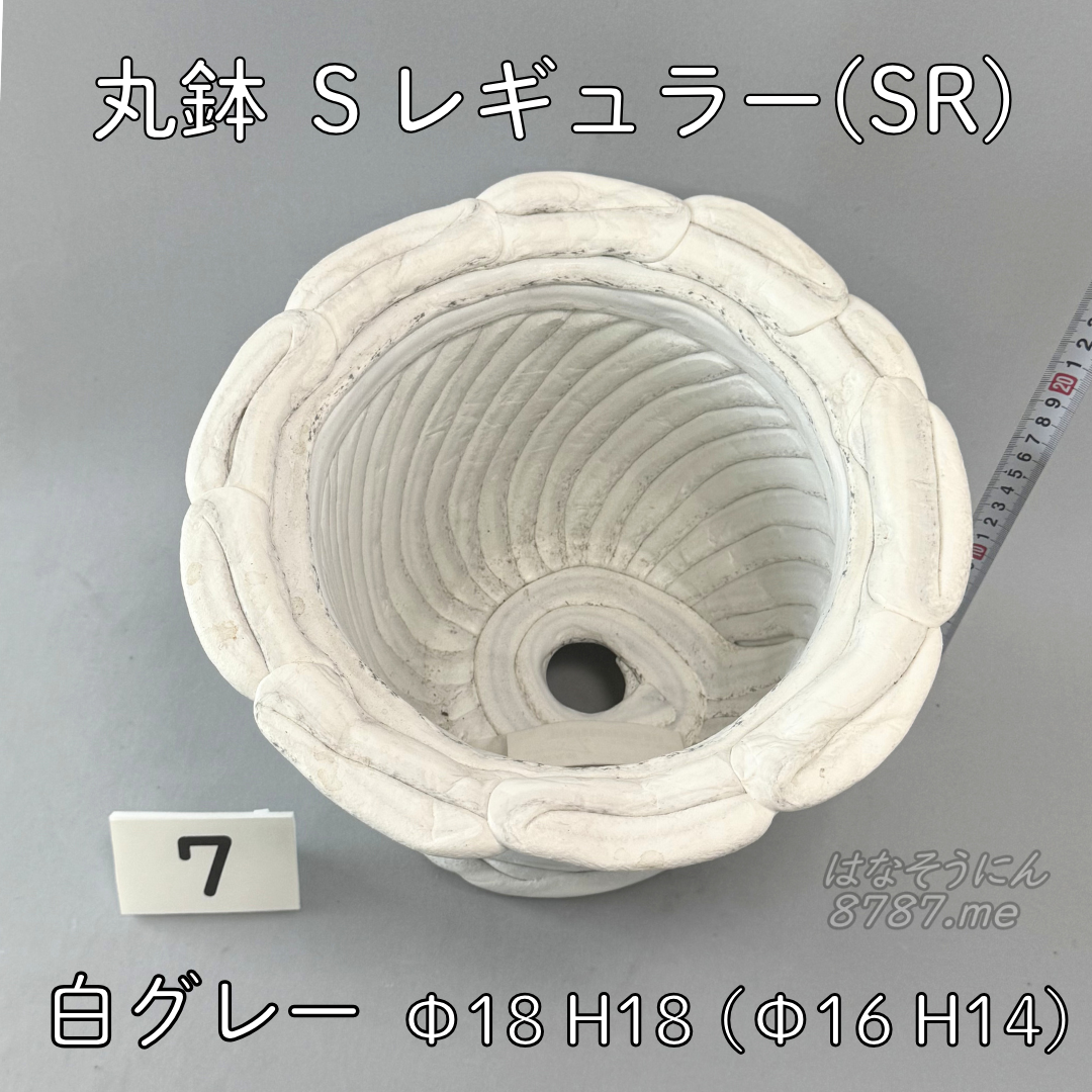綱木紋鉢 丸鉢Sレギュラー(SR) 白グレー7 上から見た鉢内部 はなそうにん オゼジュン先生のプランツギャザリング 寄せ植え用植木鉢