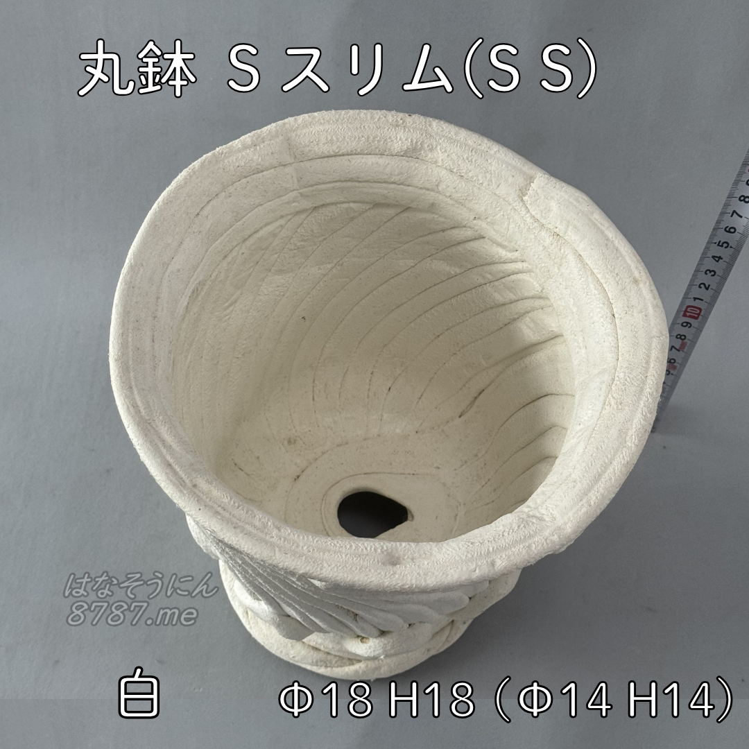 綱木紋鉢 丸鉢Sスリム(SS) 白 上から見た鉢内部 はなそうにん オゼジュン先生のプランツギャザリング 寄せ植え用植木鉢