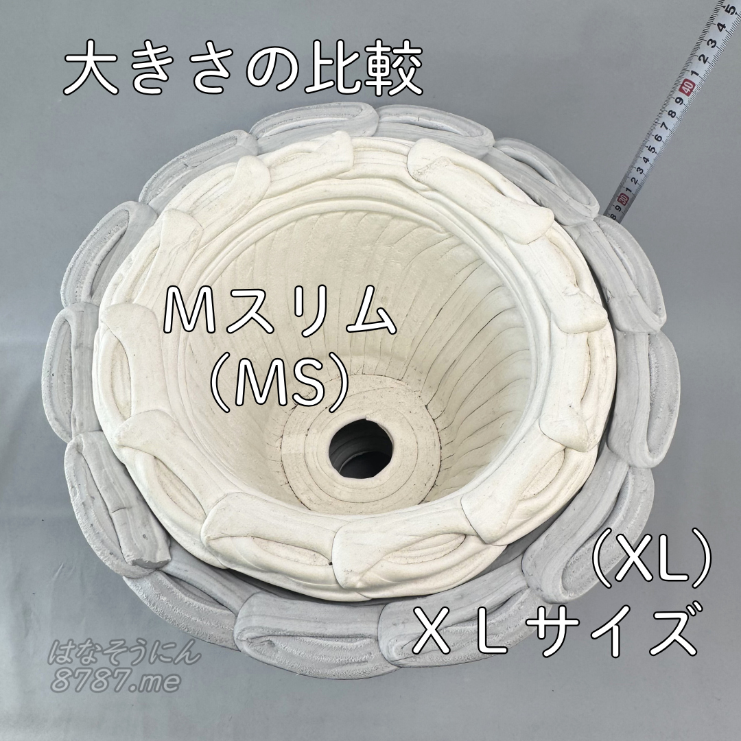 綱木紋鉢 丸鉢Mサイズスリム(MS)ha
綱木紋鉢 丸鉢XLサイズ(XL)にすっぽり入ります はなそうにん オゼジュン先生のプランツギャザリング 寄せ植え用植木鉢
