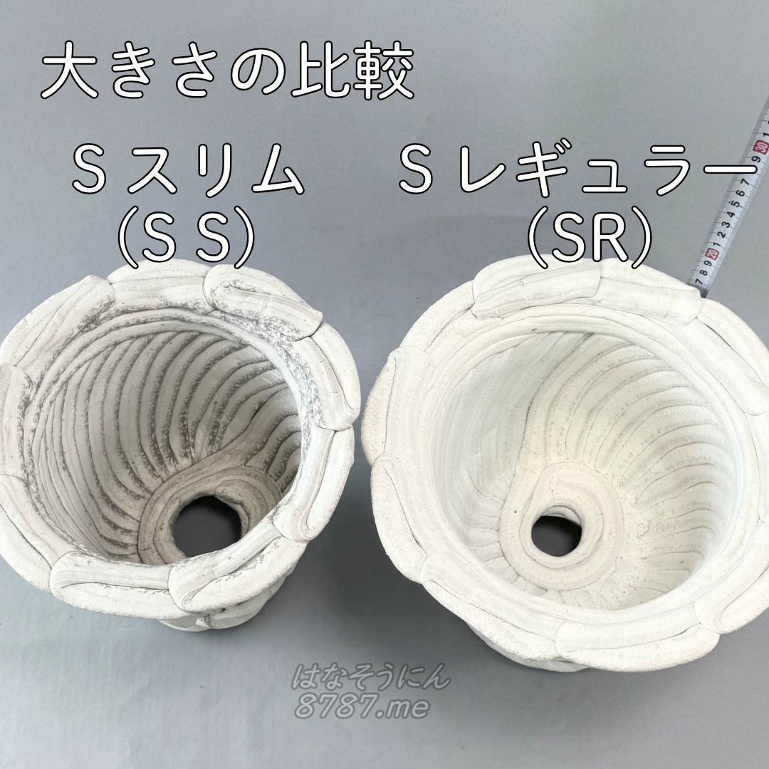 綱木紋鉢 丸鉢 Sスリム(SS)とSレギュラー(SR) 大きさ比較 上から はなそうにん オゼジュン先生のプランツギャザリング 寄せ植え用植木鉢