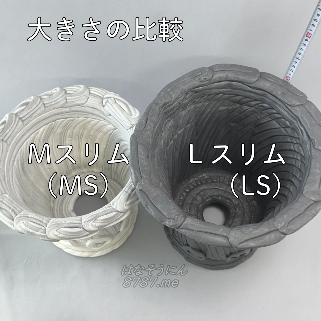 綱木紋鉢 丸鉢スリム MサイズとLサイズ 大きさ比較 上から はなそうにん オゼジュン先生のプランツギャザリング 寄せ植え用植木鉢