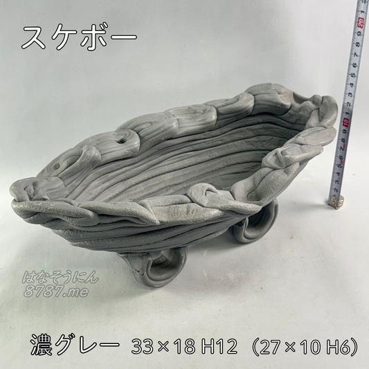 綱木紋鉢 スケボー メイン はなそうにん オゼジュン先生のプランツギャザリング 寄せ植え用植木鉢