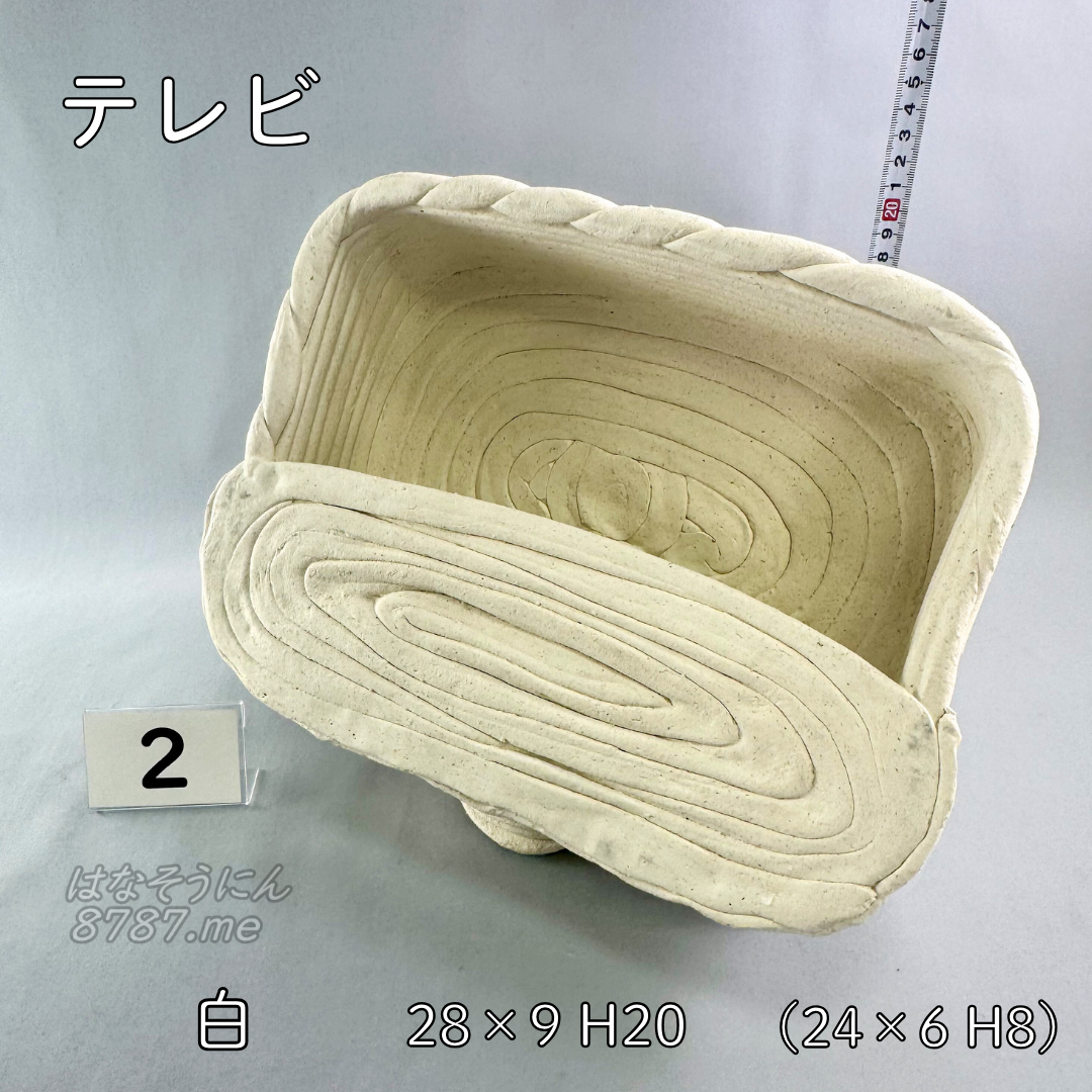 綱木紋鉢 テレビ型 白2 メイン はなそうにん オゼジュン先生のプランツギャザリング 寄せ植え用植木鉢