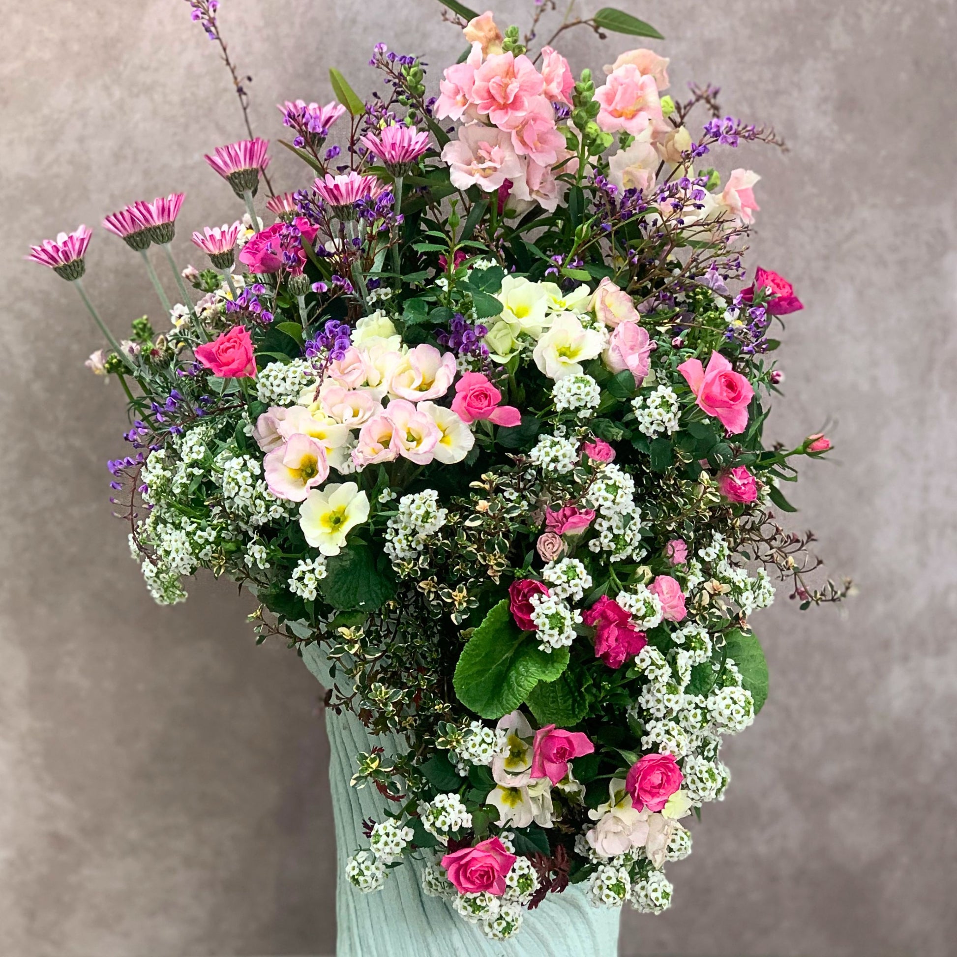 綱木紋立型ワンスリット鉢にピンク系の花苗を合わせたギャザリング寄せ植え 流れるデザインが美しく自分へのプレゼントにもおすすめ 花創人ガーデニング教室
