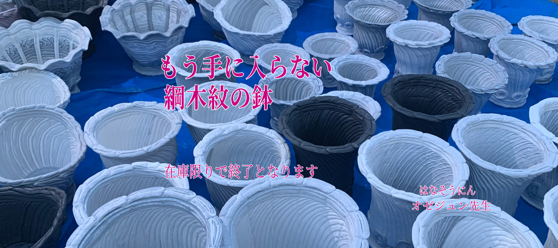 綱木紋の植木鉢が並ぶ様子 在庫限りで終了となる希少な鉢 花創人ガーデニング教室 オゼジュン先生