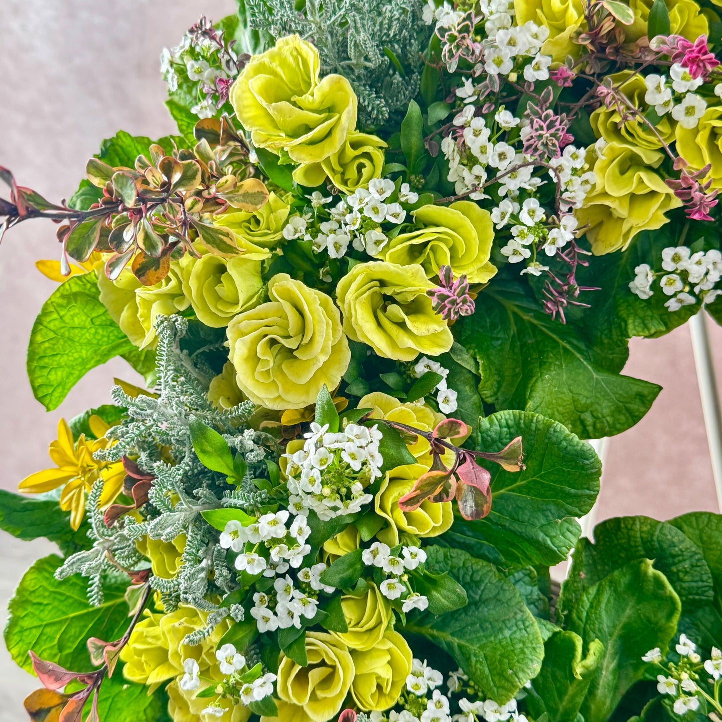 ジュリアンと小花を組み合わせたリースの花のアップ寄せ植えギャザリングで自分へのプレゼントにもおすすめの作品 花創人ガーデニング教室