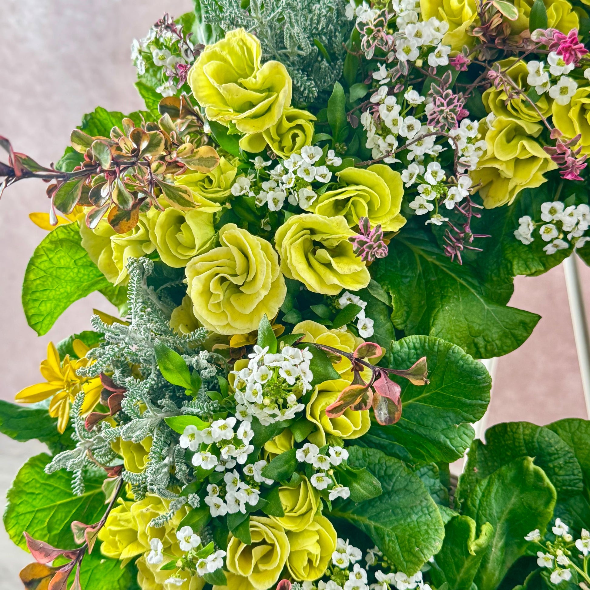 ジュリアンと小花を組み合わせたリースの花のアップ寄せ植えギャザリングで自分へのプレゼントにもおすすめの作品 花創人ガーデニング教室